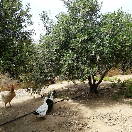 Traditional Near Paroikia Holiday home