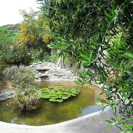 Holiday home Traditional Near Paroikia *